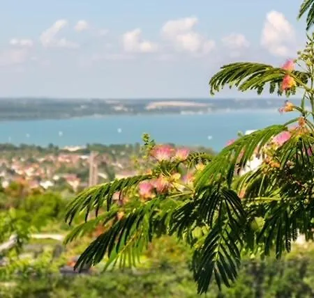 Apartment Azur 1 - Panoramic Escape Balatonalmadi